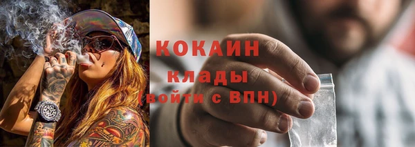 ГАЛЛЮЦИНОГЕННЫЕ ГРИБЫ Арсеньев