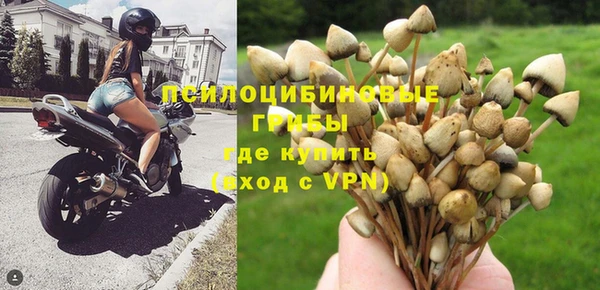 ГАЛЛЮЦИНОГЕННЫЕ ГРИБЫ Арсеньев