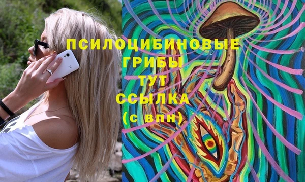 прущая мука Аркадак