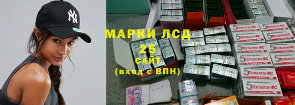 ГАЛЛЮЦИНОГЕННЫЕ ГРИБЫ Арсеньев