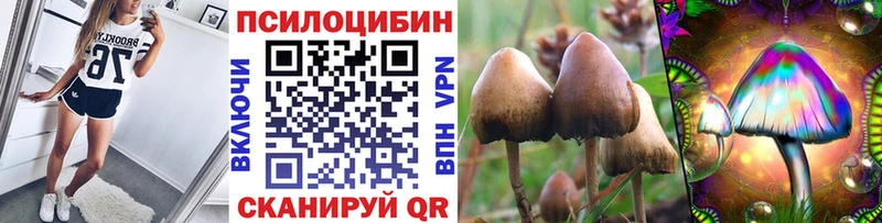 Псилоцибиновые грибы прущие грибы  Старая Русса 